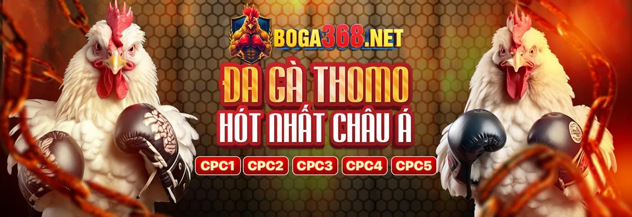 Hướng dẫn Baccarat 86win